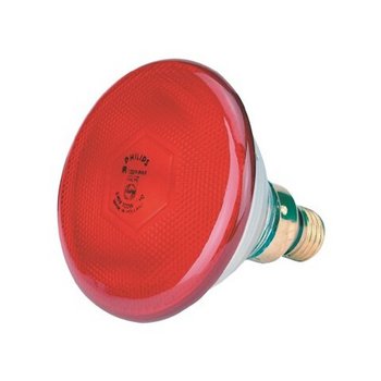 Sparlampe Philips 175W rot